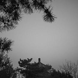 育碧公布《刺客信条：影》Cosplay指南：不用模仿肤色